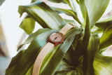 Sonoma Watch Collection - Tan Strap/Redwood Case