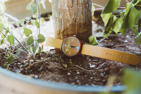 Sonoma Watch Collection - Tan Strap/Redwood Case